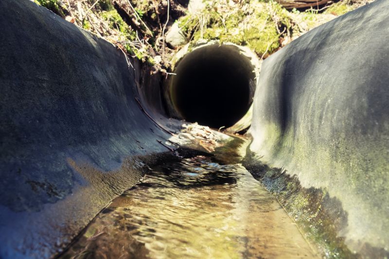 Site Evaluation and Consultation